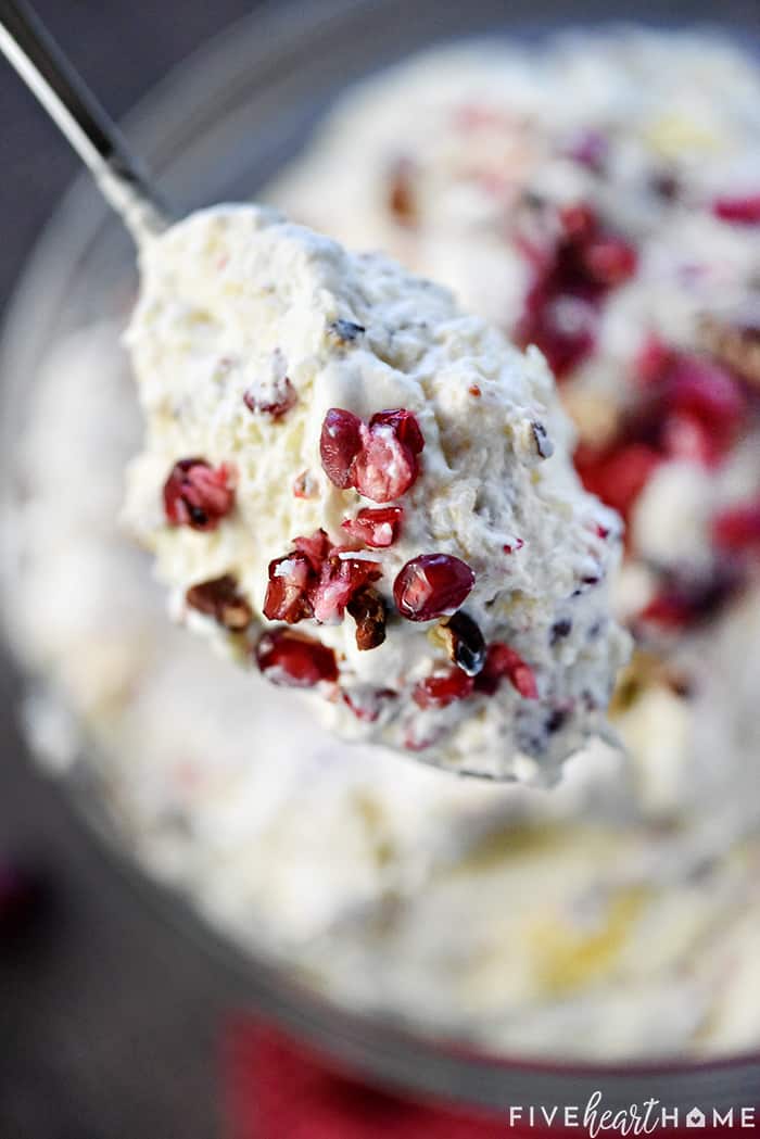 Spoonful of Cranberry Fluff Salad recipe.