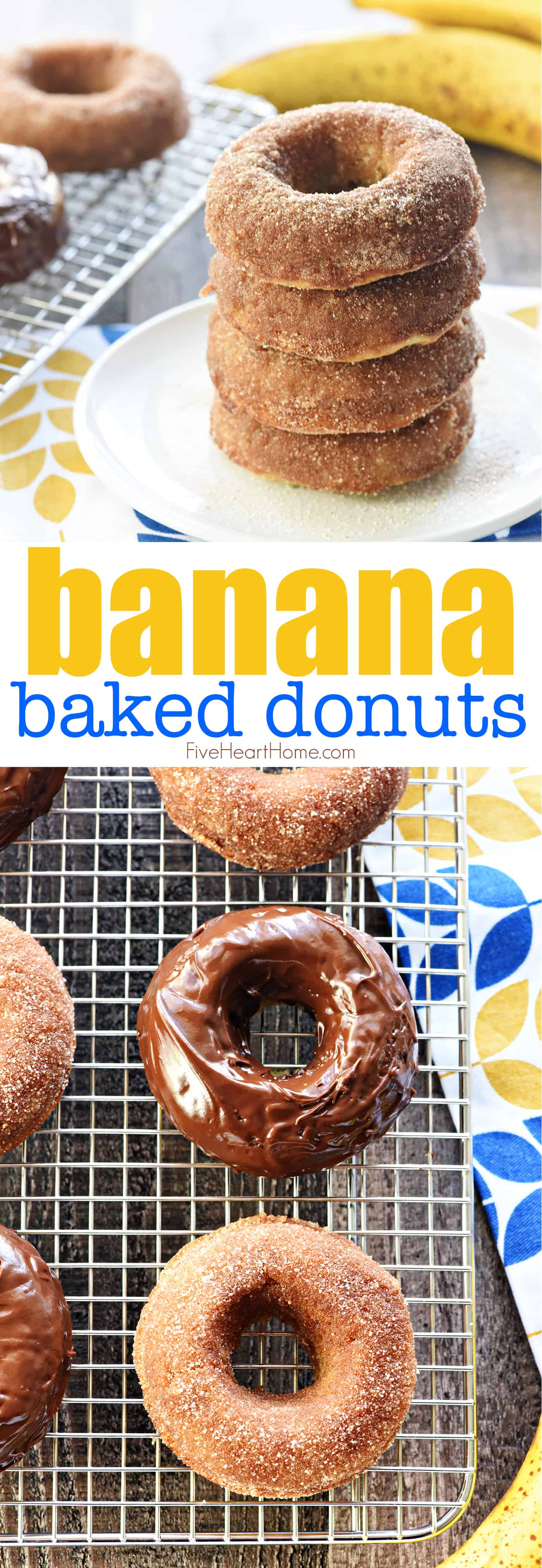 Baked Banana Donuts ~ soft, sweet, lightened-up, and easy to make, with your choice of a decadent chocolate glaze or a coating of cinnamon sugar! | FiveHeartHome.com via @fivehearthome