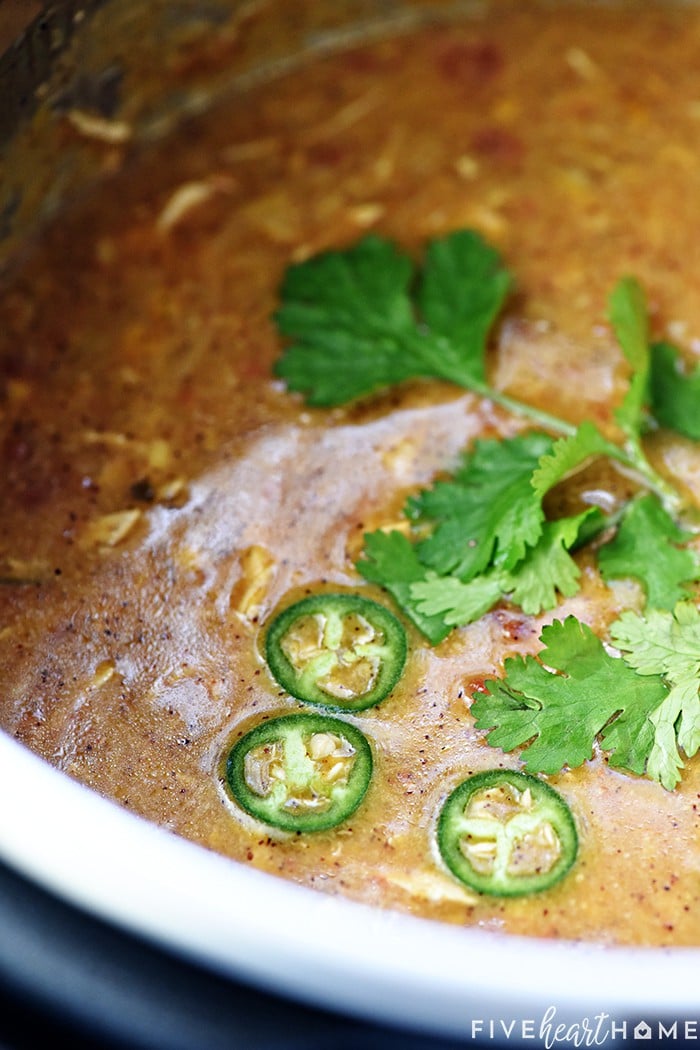 Slow Cooker King Ranch Chicken Soup.