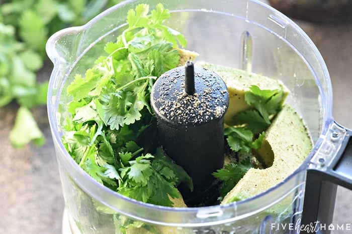 cilantro and other ingredients in food processor