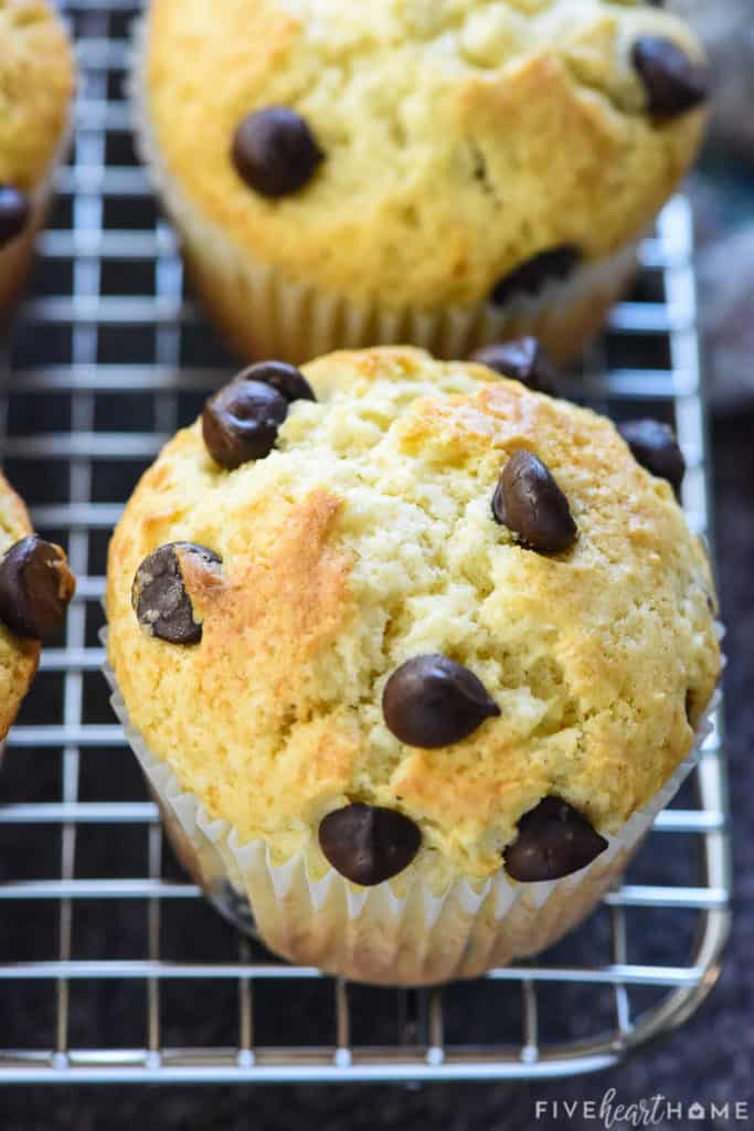Basic Muffin Recipe that's easy to customize.