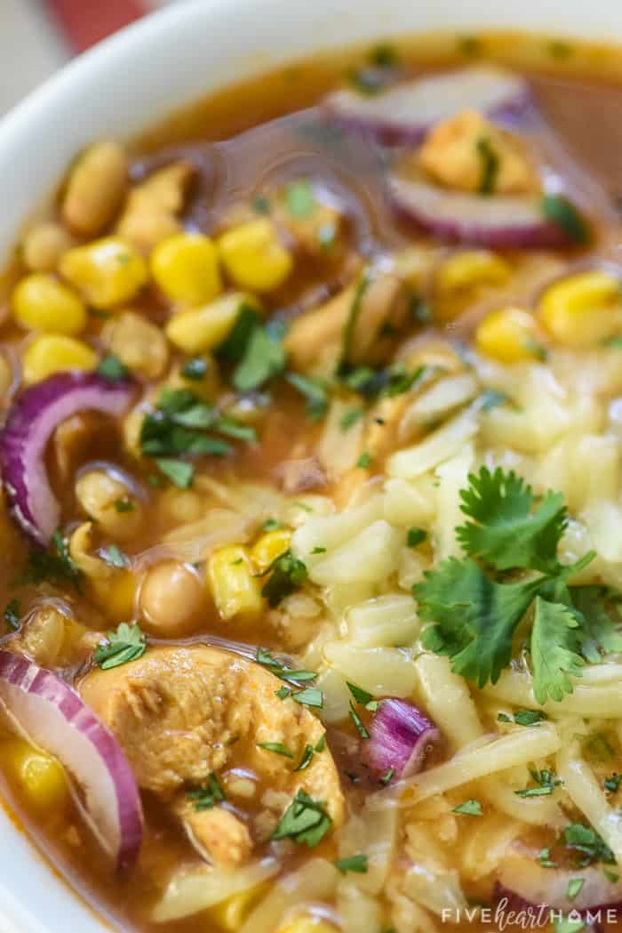 Close-up of BBQ Chicken Soup showing garnishes of onions, cilantro, and mozzarella.