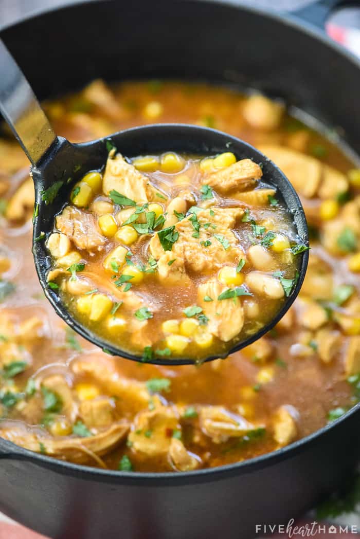 Ladle of BBQ Chicken Soup held over pot.