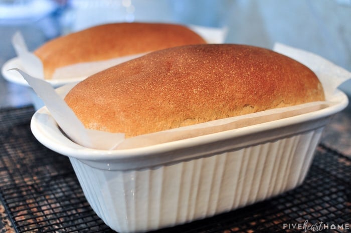 Baked whole wheat bread in pans