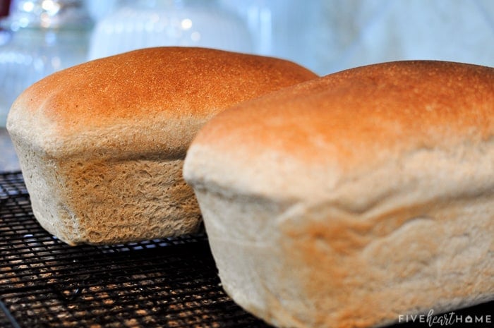 Whole Wheat Bread on cooling rack