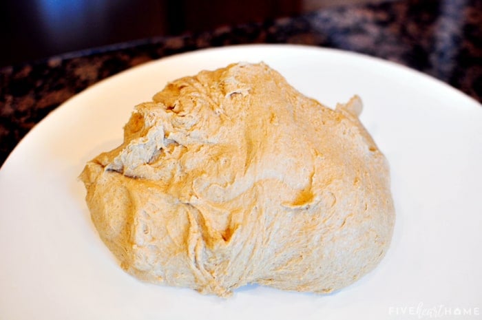 Whole Wheat Bread dough