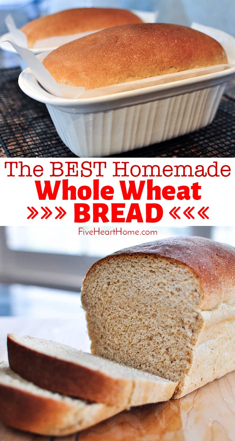 The Very BEST Whole Wheat Bread is the softest, moistest, fluffiest, freshest-staying, homemade, 100% whole wheat bread you've ever tried! | FiveHeartHome.com #wholewheatbread #homemadebread #wheatbread via @fivehearthome