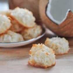 Coconut Macaroon scene with coconut in background