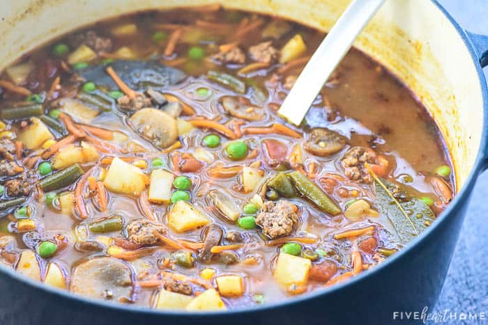 Hamburger Vegetable Soup in pot with ladle.