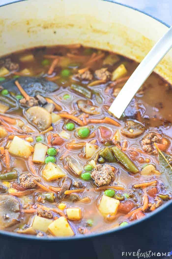 Hamburger Vegetable Soup ~ Easy + Healthy!