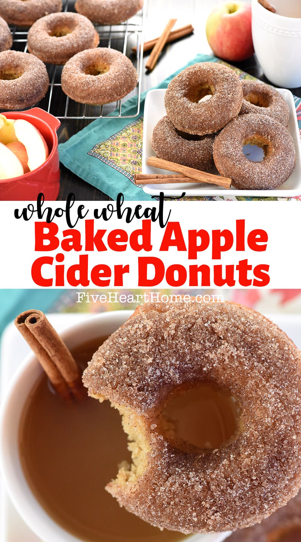 Baked Apple Cider Donuts ~ these delicately spiced, 100% whole wheat donuts are tender on the inside and coated in crunchy cinnamon sugar on the outside for a tasty fall breakfast treat! | FiveHeartHome.com via @fivehearthome