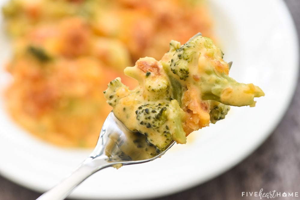 Forkful of Broccoli Cheese Casserole.