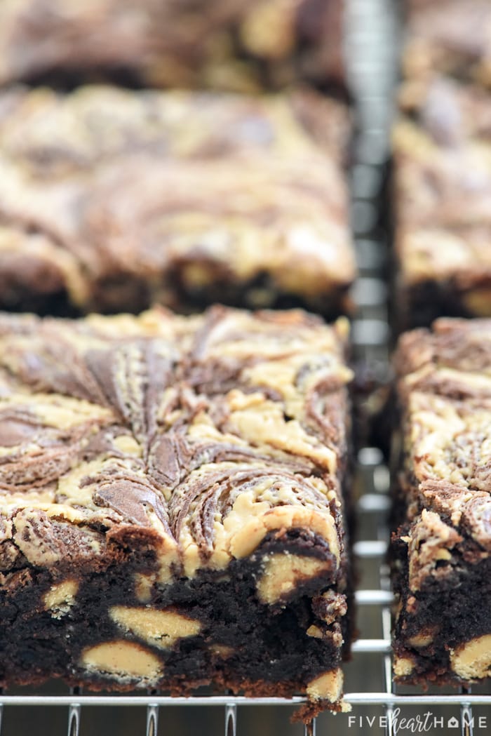 Peanut Butter Brownies ~ rich and decadent with an amazingly fudgy texture, this flourless brownie recipe is studded with peanut butter chips and swirled with peanut butter on top for a chocolate/PB lover's DREAM! And since this Peanut Butter Brownie recipe is flourless, it's also naturally gluten-free! | FiveHeartHome.com via @fivehearthome