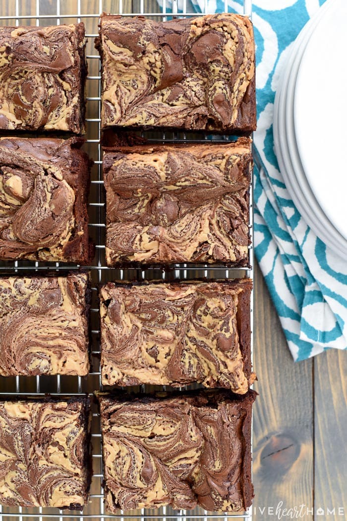 Peanut Butter Brownies ~ rich and decadent with an amazingly fudgy texture, this flourless brownie recipe is studded with peanut butter chips and swirled with peanut butter on top for a chocolate/PB lover's DREAM! And since this Peanut Butter Brownie recipe is flourless, it's also naturally gluten-free! | FiveHeartHome.com via @fivehearthome