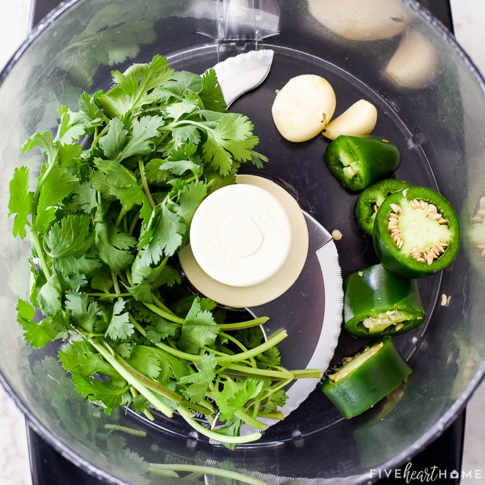 Cilantro, jalapeño, and garlic in food processor.