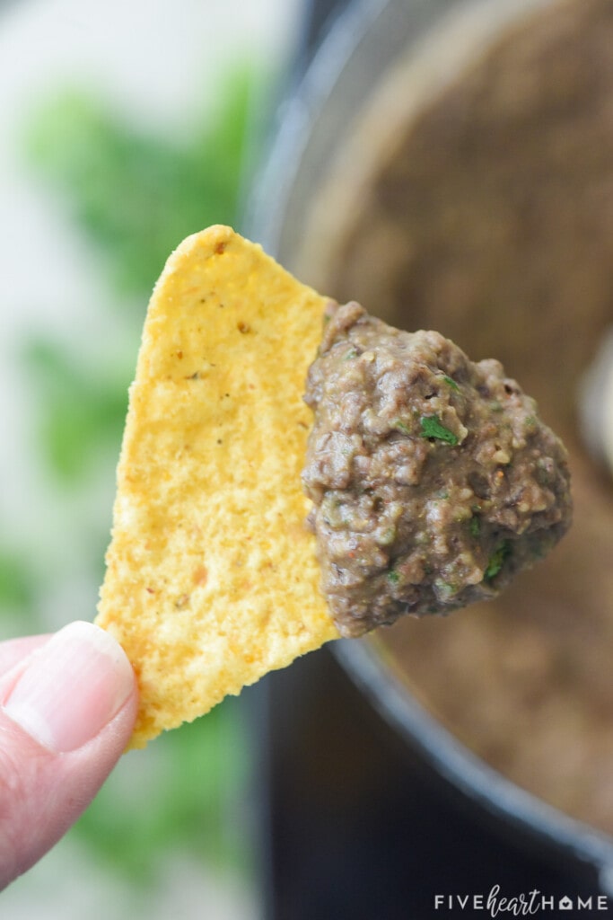 Chip scooping up Black Bean Dip with cilantro.