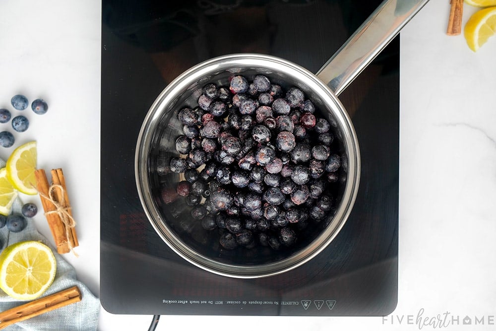 Aerial view of blueberries in pot.