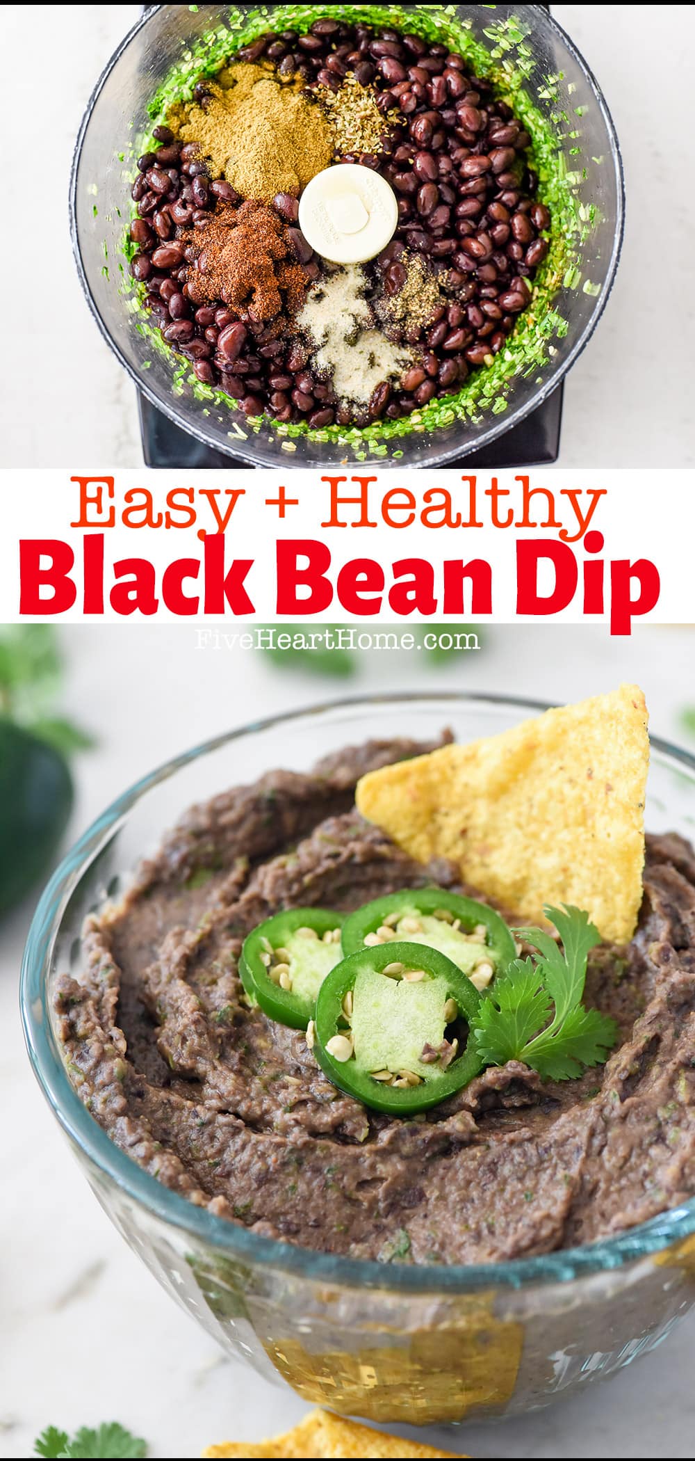 Black Bean Dip ~ this healthy dip — flavored with fresh garlic, cilantro, jalapeño, lime juice, and cumin — is zesty, easy to make, and equally delicious scooped up with tortilla chips or raw veggies! | FiveHeartHome.com via @fivehearthome