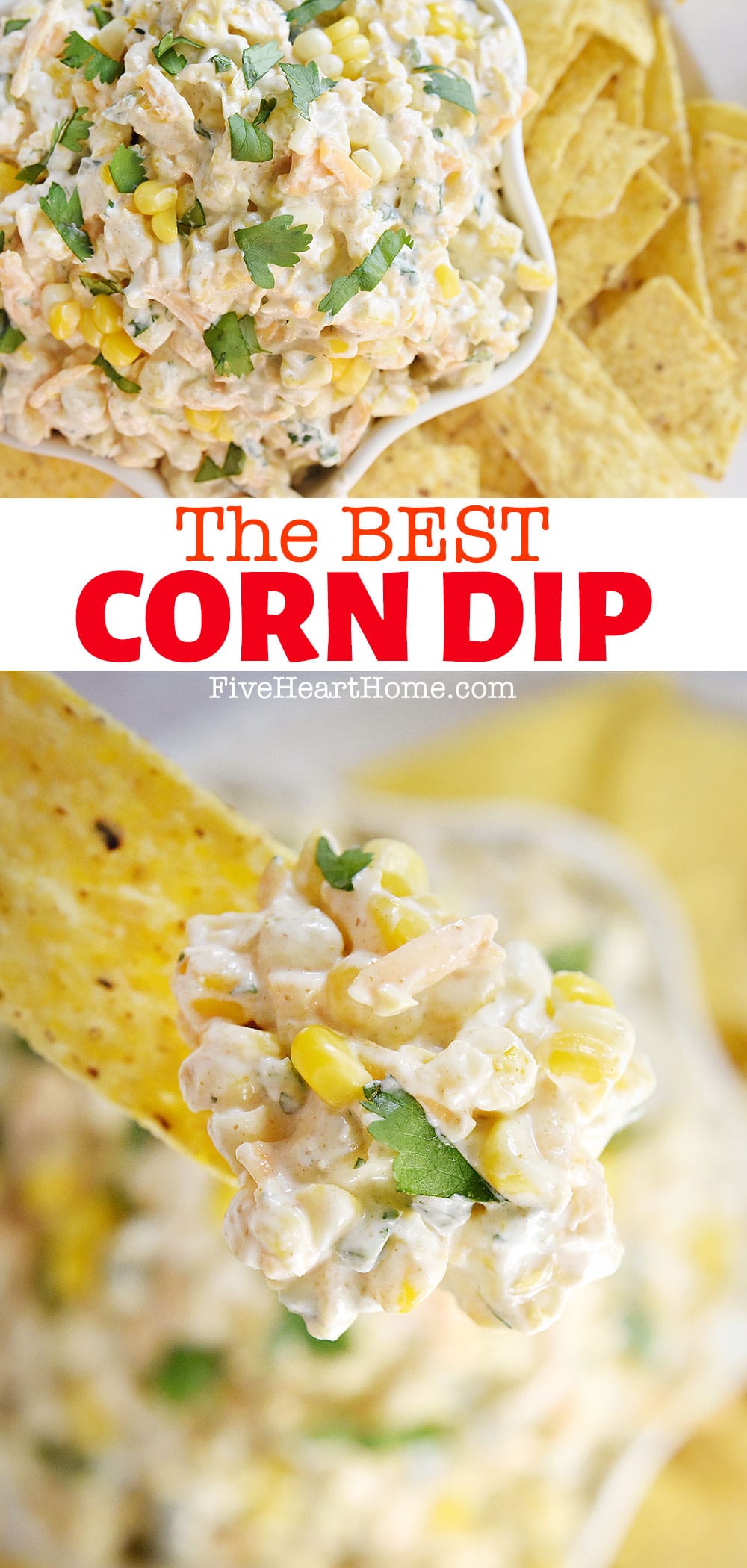 The BEST Corn Dip ~ a creamy, cheesy dip featuring sweet corn and laced with Tex-Mex flavors including cumin, a touch of jalapeño, and fresh cilantro. Perfect for summer parties, tailgating, or year-round entertaining, this corn dip recipe can be made with fresh corn, frozen corn, or even canned corn! | FiveHeartHome.com via @fivehearthome