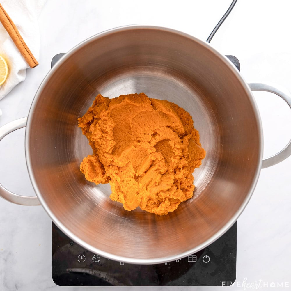 Adding canned pumpkin puree to pot.