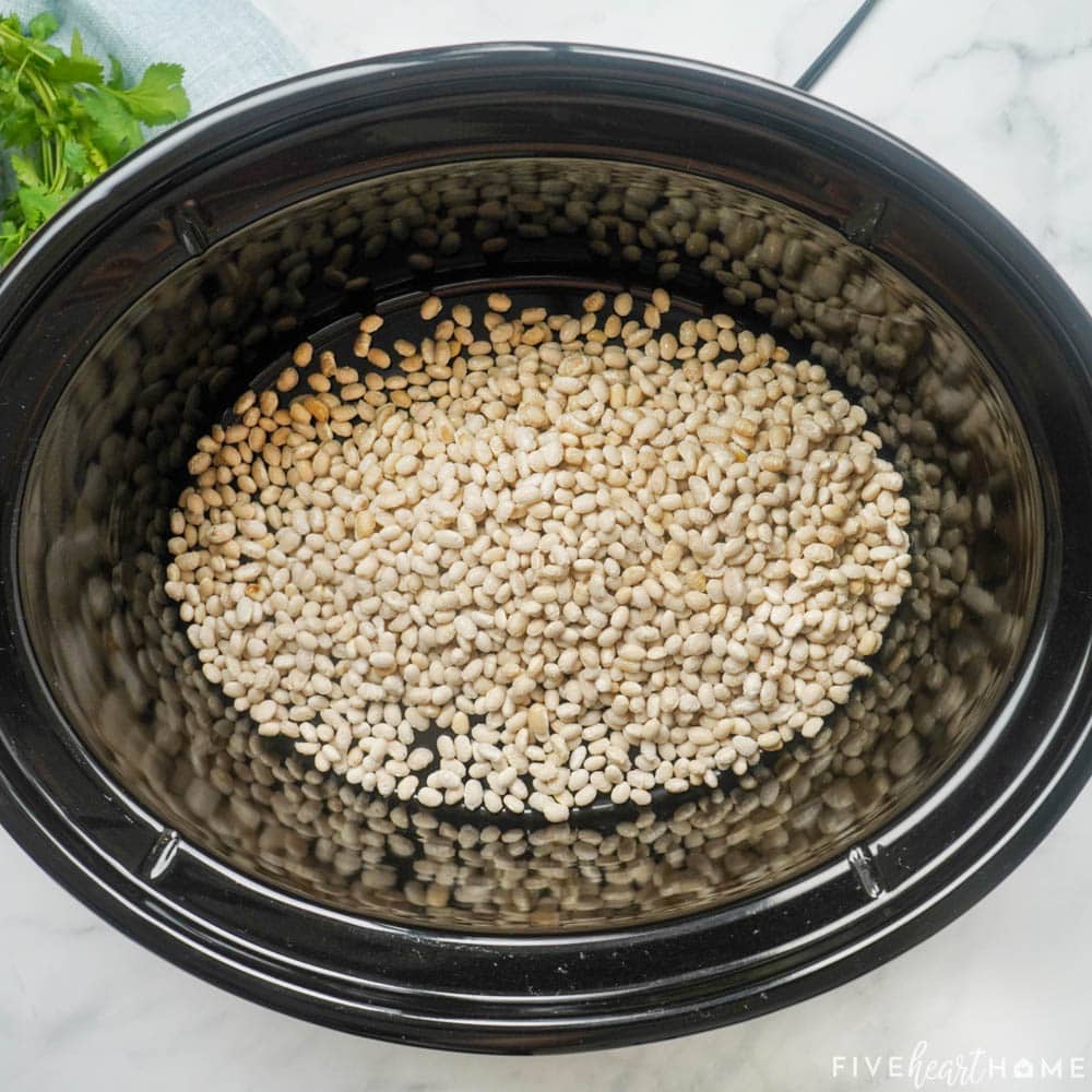 Aerial view of dried white beans in crockpot.