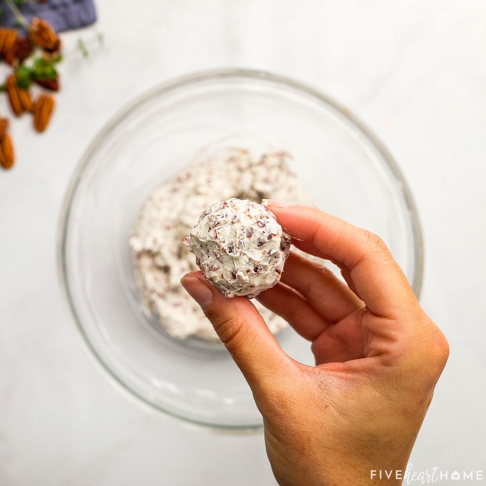 Mixture formed into a Mini Cheese Ball.