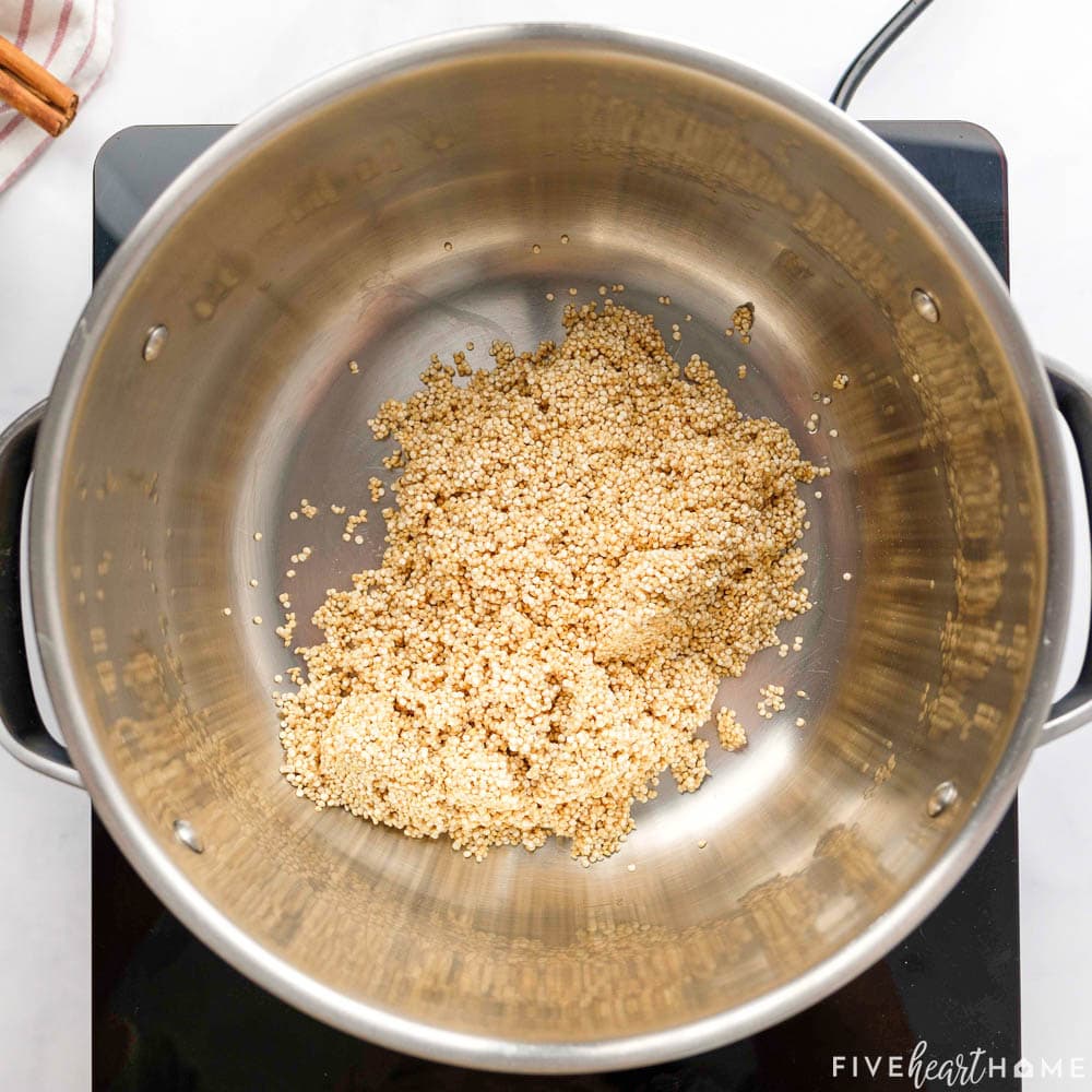 Washed and drained quinoa in bottom of pot.