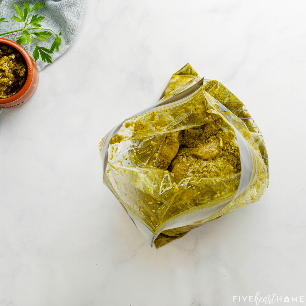 Adding chicken breasts to pesto marinade.