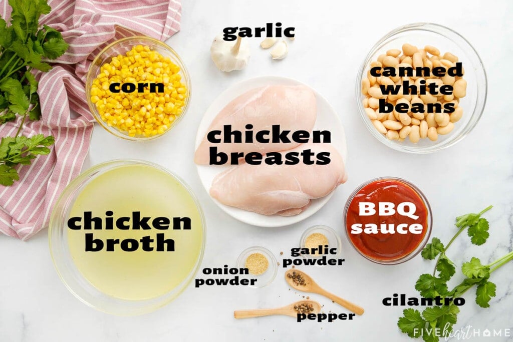 Aerial view of ingredients to make BBQ Chicken Soup.
