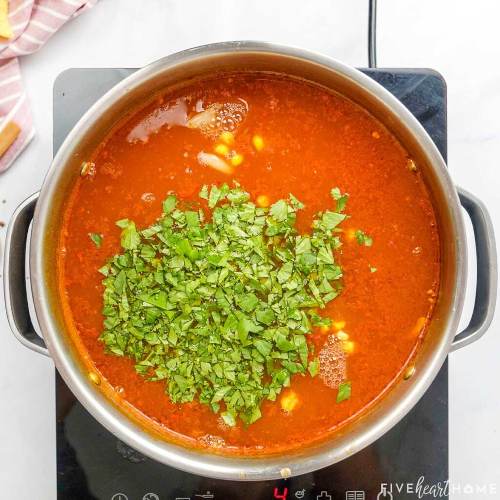 Adjusting seasonings and adding cilantro to BBQ Chicken Soup recipe.