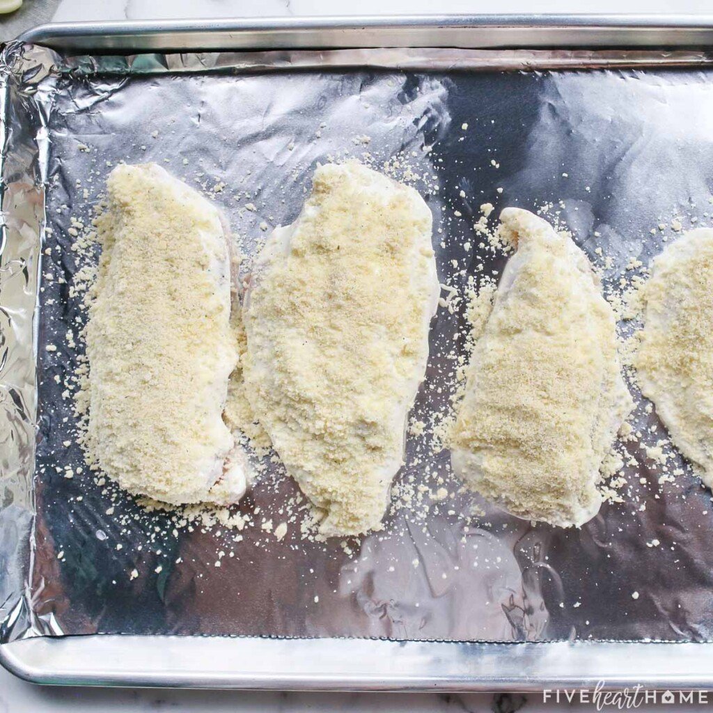 Parmesan crusted chicken with mayo ready for oven.