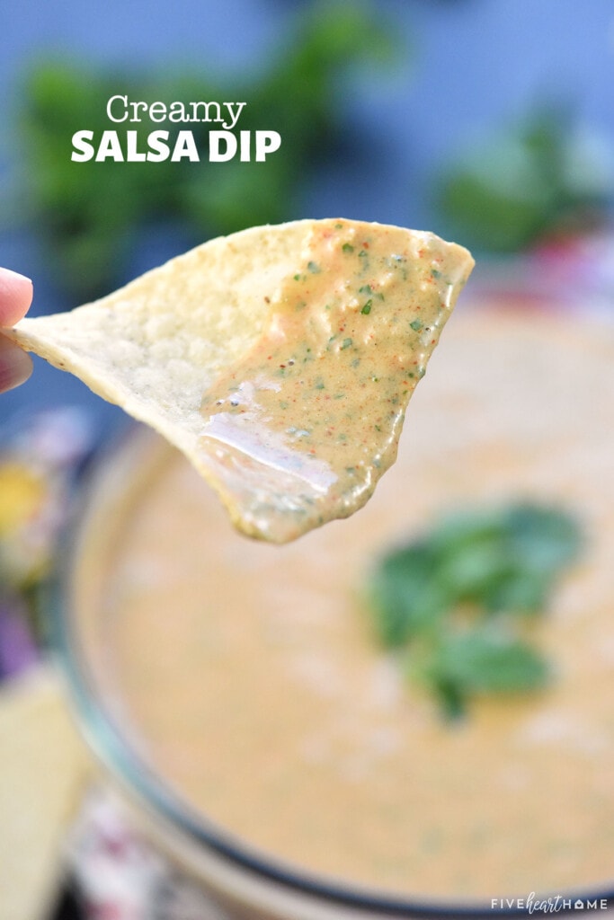 Creamy Salsa Dip on chip with text overlay.