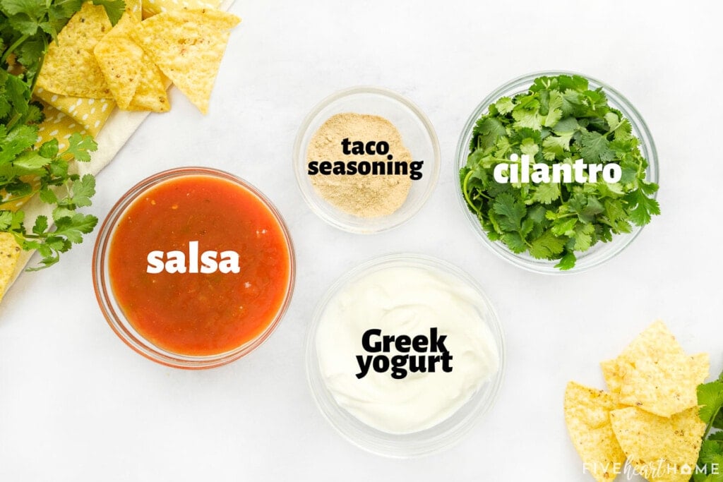 Aerial view of labeled ingredients to make Creamy Salsa Dip or Creamy Salsa Dressing.