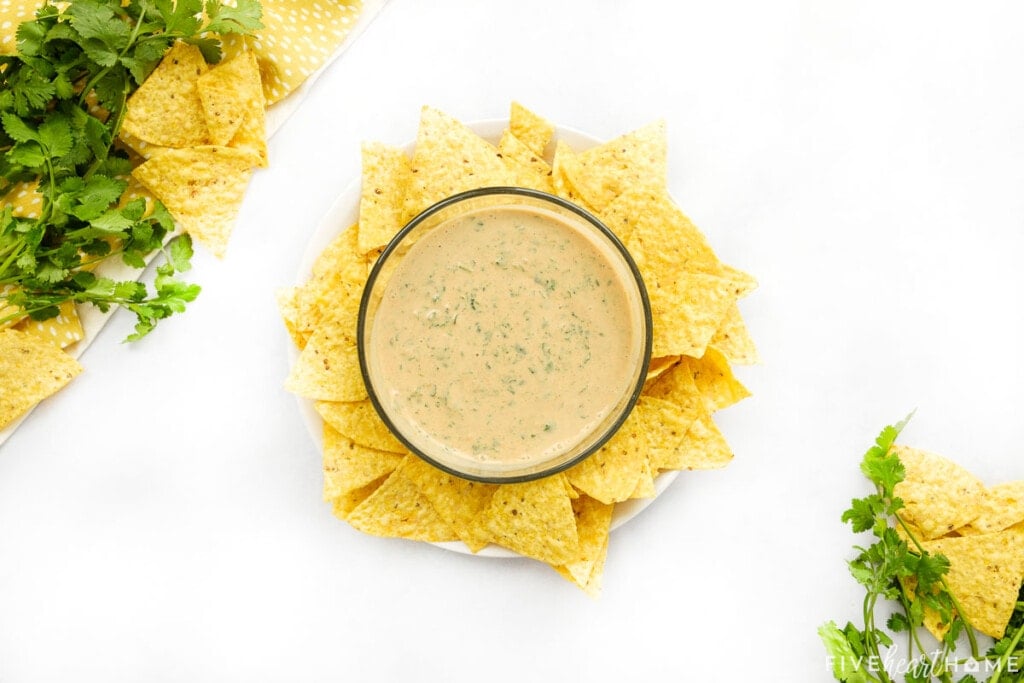Bowl of Creamy Salsa Dip surrounded by tortilla chips for dipping.