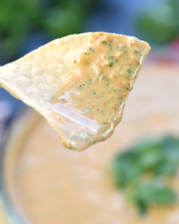 Creamy Salsa Dip close-up on a tortilla chip.