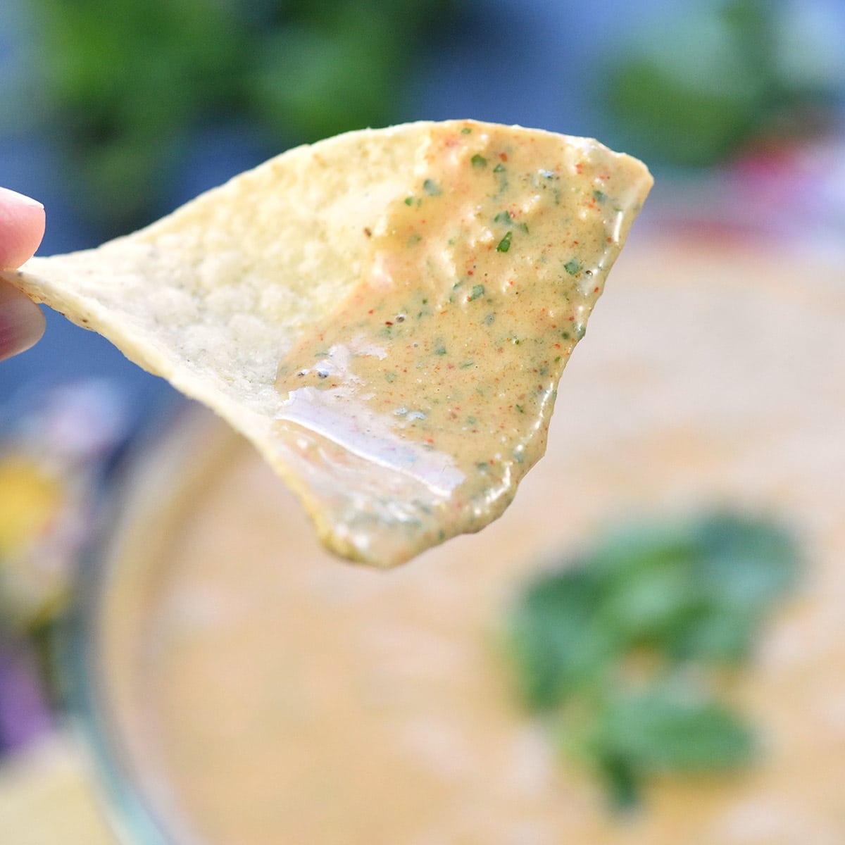 Creamy Salsa Dip close-up on a tortilla chip.