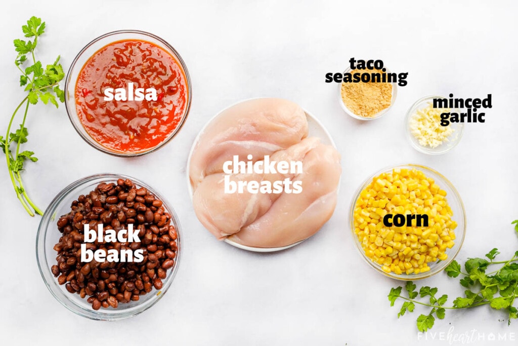 Aerial view of labeled ingredients to make Crockpot Shredded Chicken Tacos.