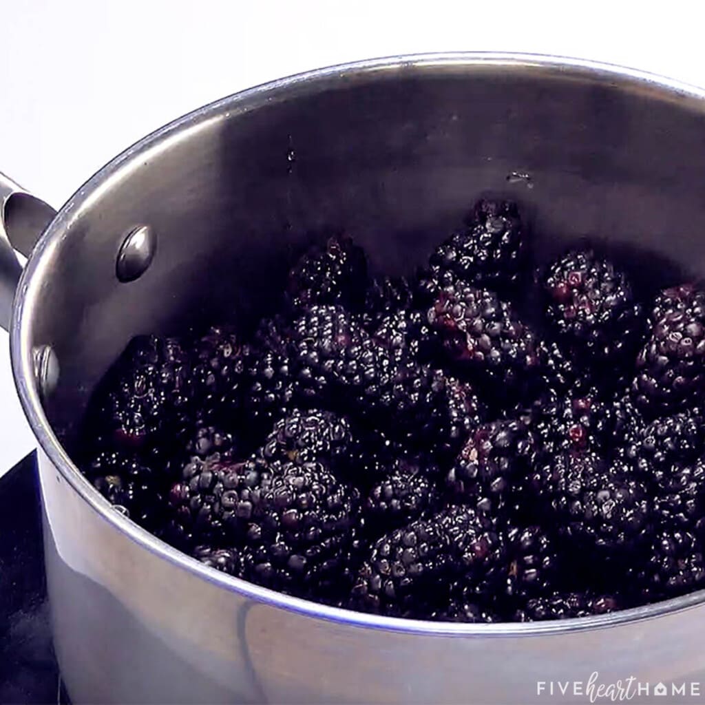 Blackberries in pot.