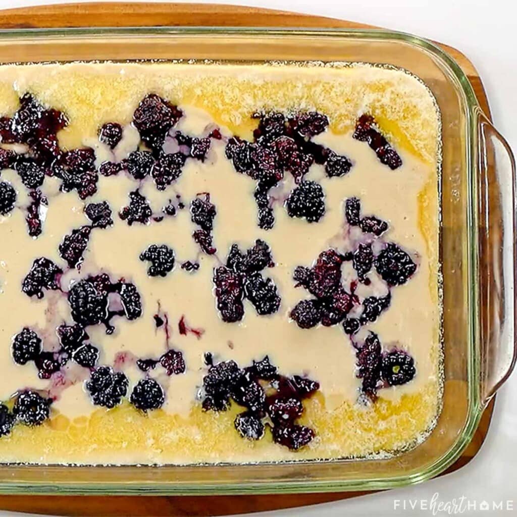 Easy Blackberry Cobbler ready to go into oven.