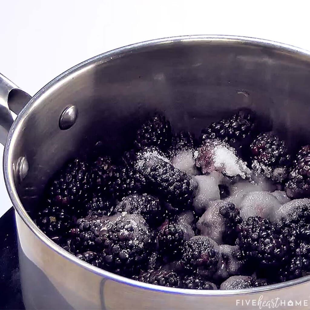 Adding water to blackberries and sugar to make syrup for Blackberry Cobbler recipe.