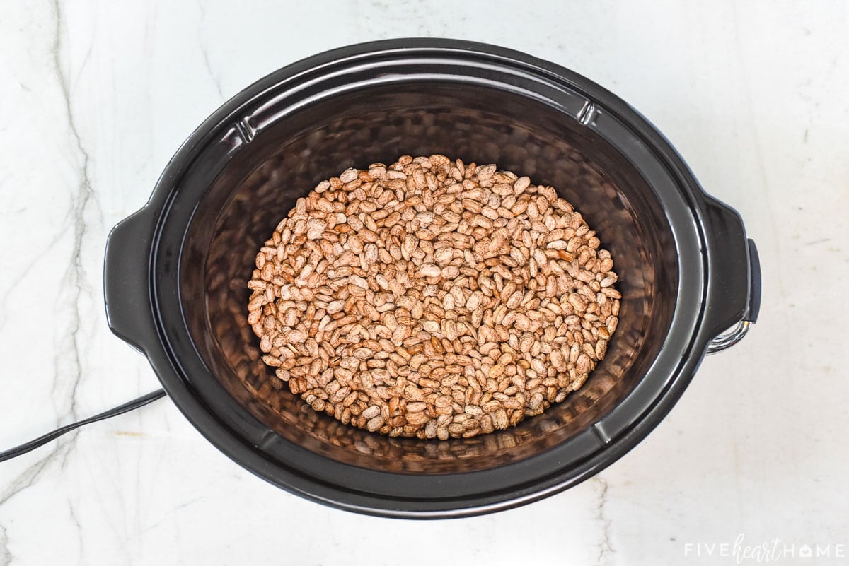 Dried pintos in crock pot.