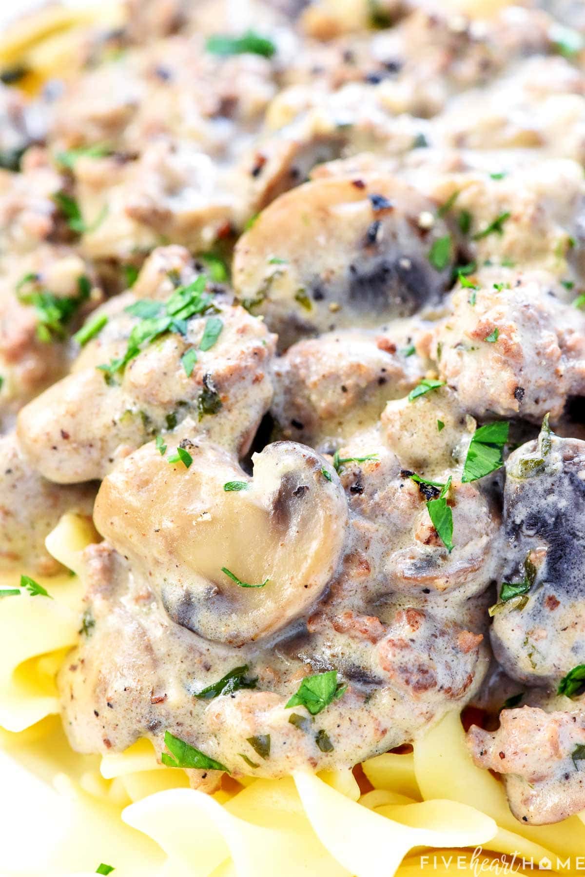 Close-up of Beef Stroganoff recipe over egg noodles.