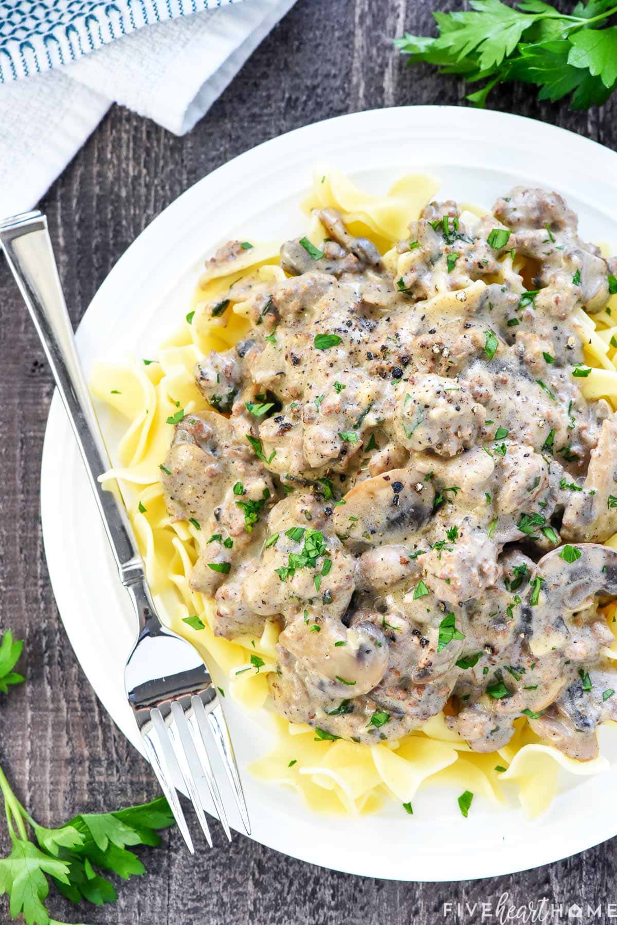 Aerial hamburger stroganoff on plate.