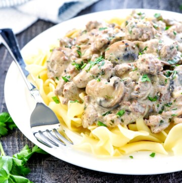 Ground Beef Stroganoff over egg noodles on plate.