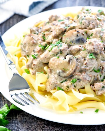 Ground Beef Stroganoff over egg noodles on plate.