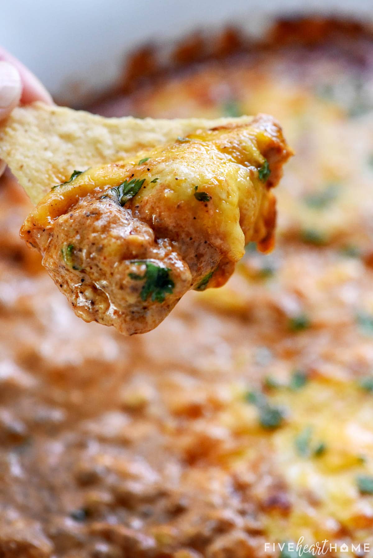 Enchilada Dip on chip.