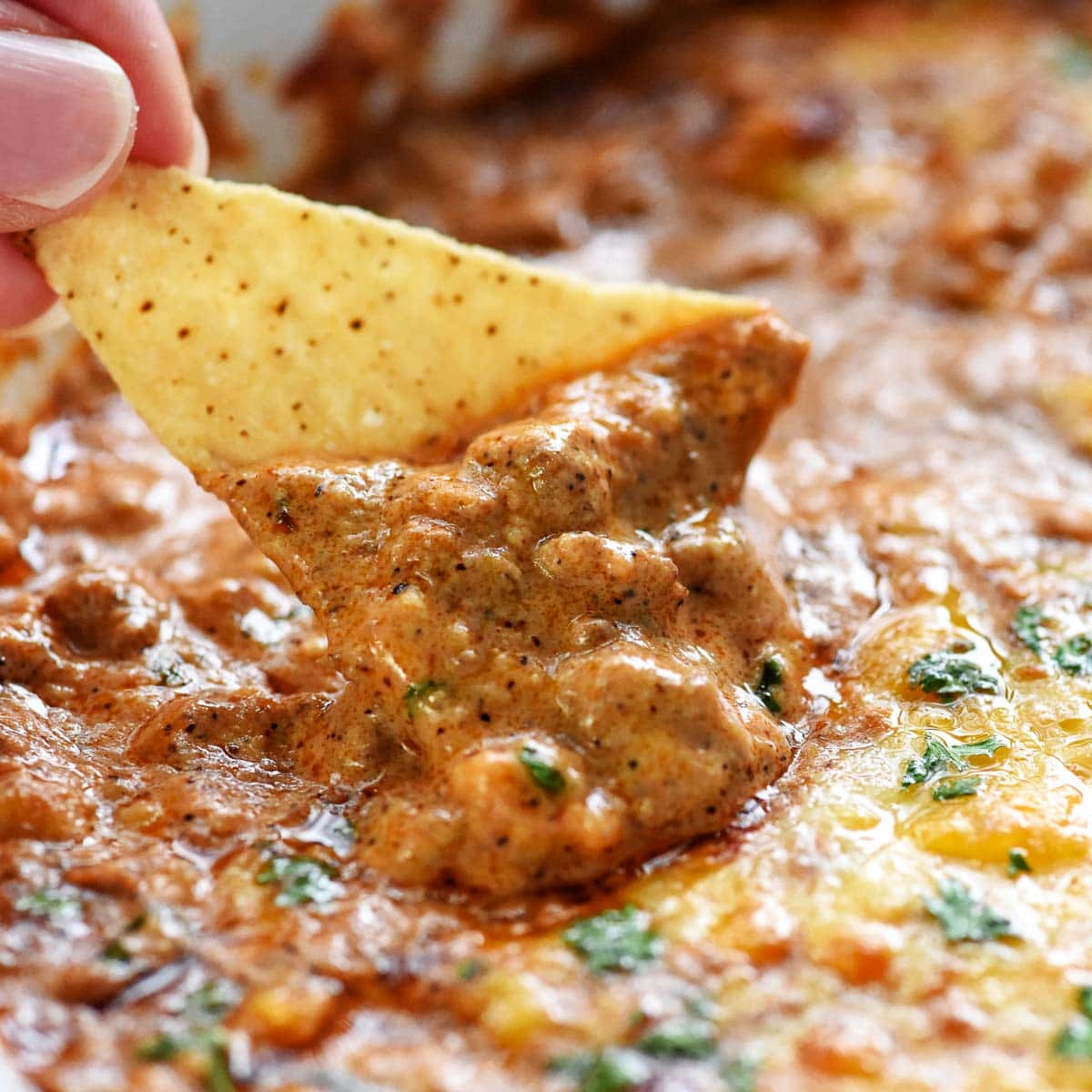Beef Enchilada Dip being scooped up by a tortilla chip.