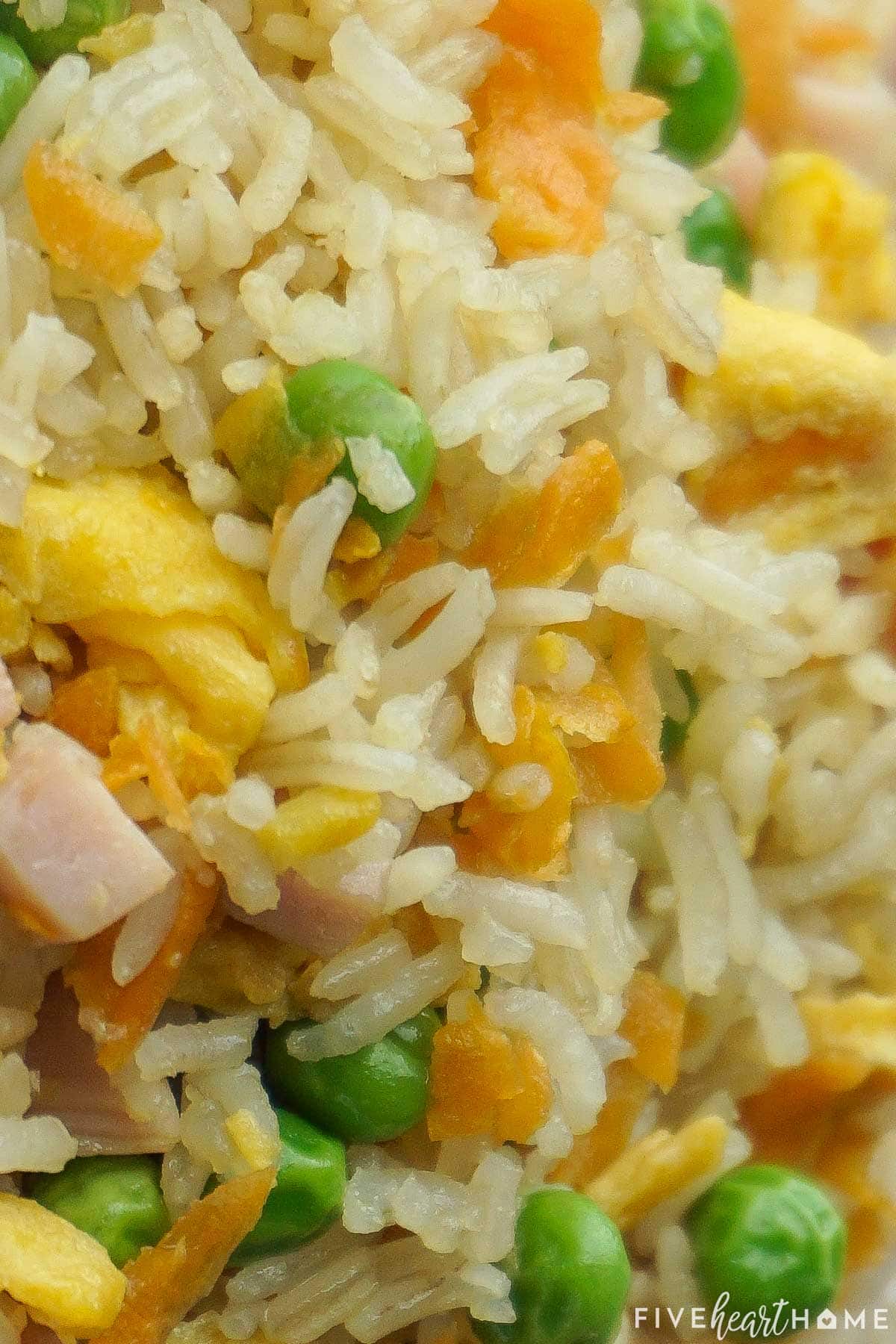 Close-up of Easy Fried Rice recipe showing rice, egg, ham, carrots, and peas.