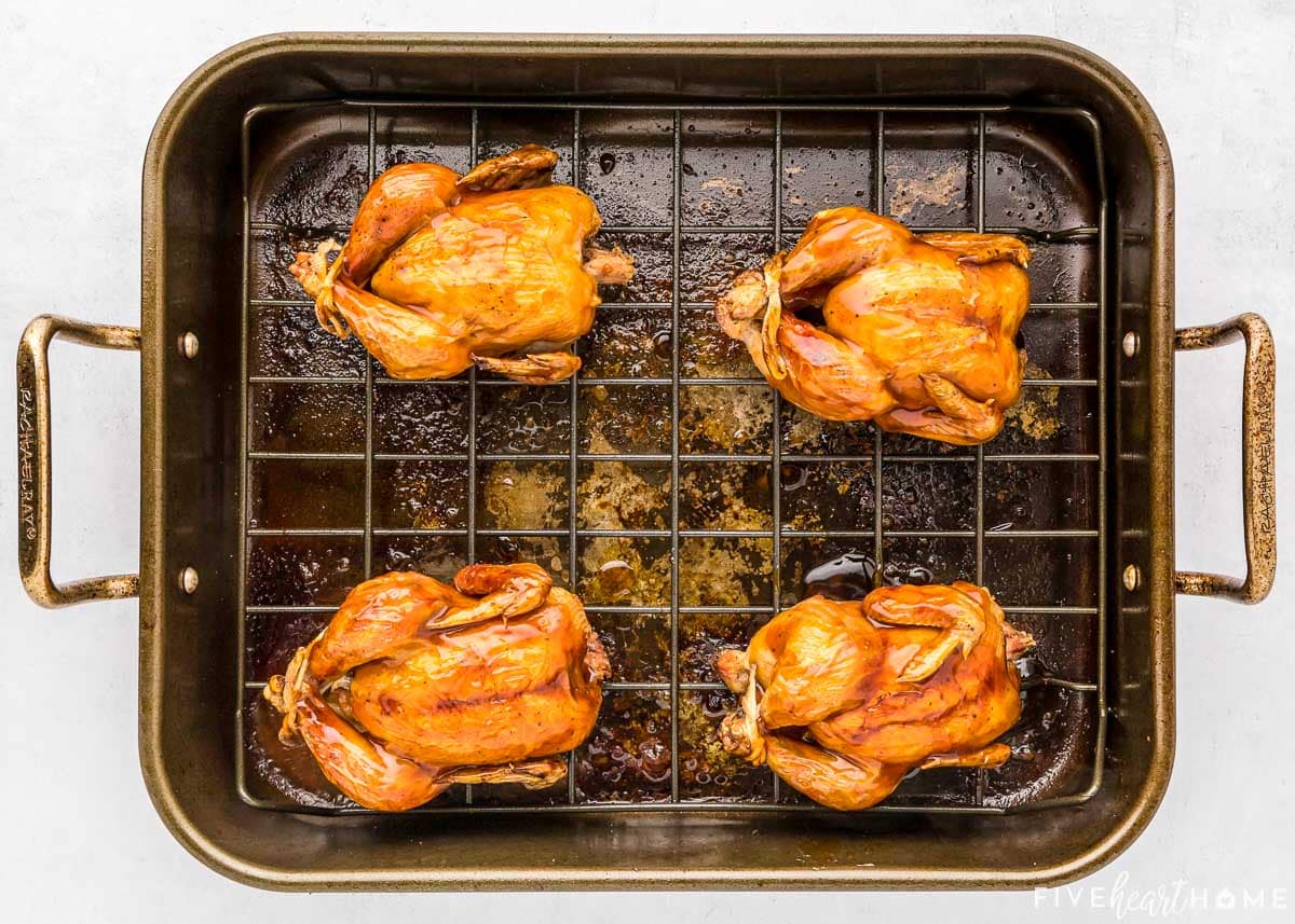 Roasted Cornish hens in baking pan.