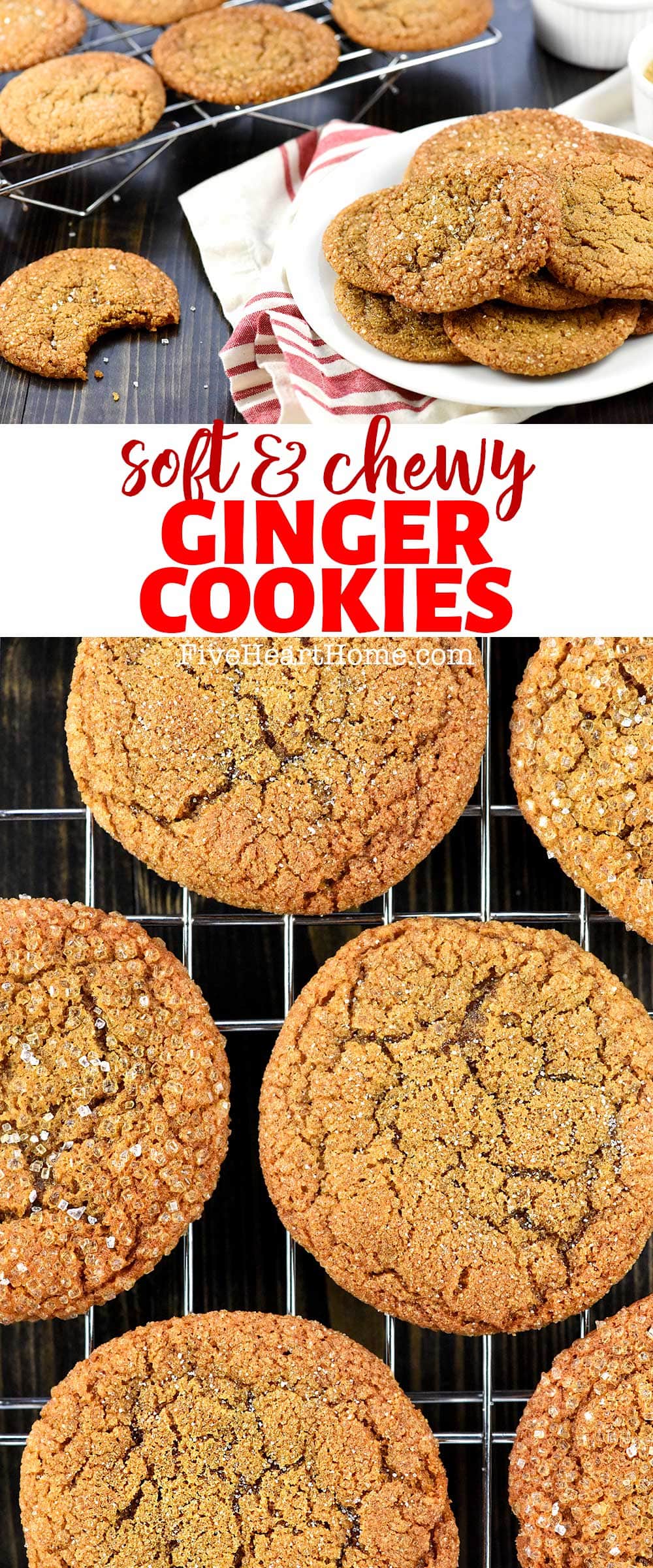 Ginger Cookies are loaded with molasses and warm spice and coated in crunchy sugar for soft, chewy, crinkly, sparkly Christmas cookies that are as pretty as they are delicious! | FiveHeartHome.com via @fivehearthome